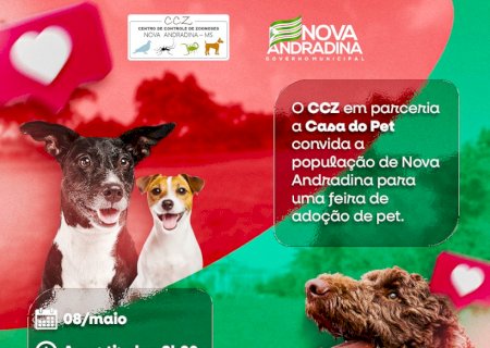 Feira de Adoção de Cães acontece neste sábado